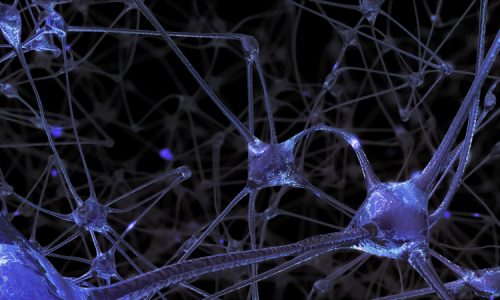 3d-rendering-network-neuron-cells-synapses-through-which-electrical-impulses-discharges-pass-during-transmission-information-inside-human-brain (1)