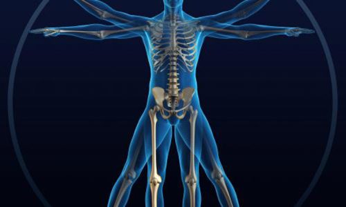 Internal-med_GettyImages-157315276014_1