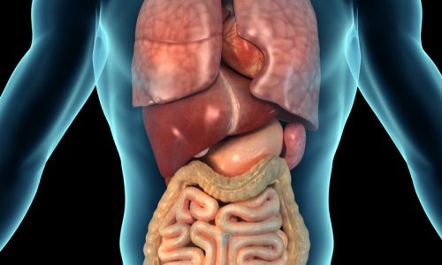 assets-specialty-internal-medicine