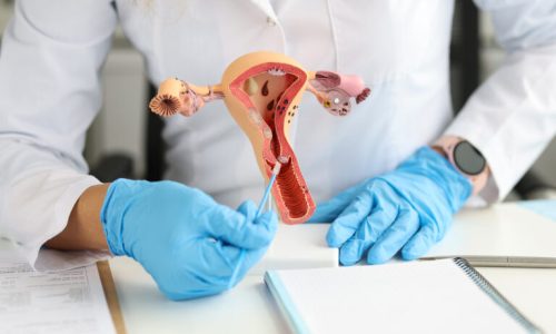 gynecologist-holds-model-female-reproductive-system-cytological-brush-study-female-reproductive-system-concept-768x512