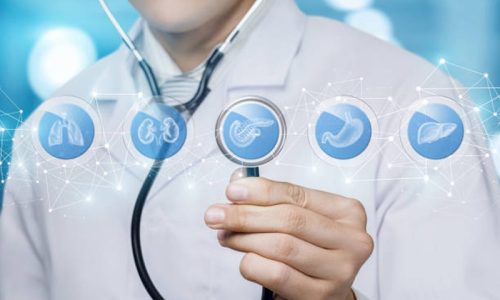 istockphoto-1172859821-612x612-1