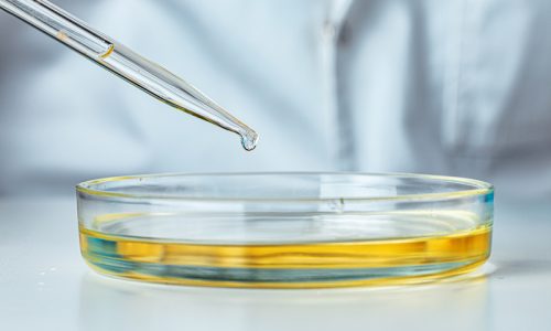 petri-dish-and-pipette-with-dropping-liquid-close-2021-09-03-03-39-03-utc