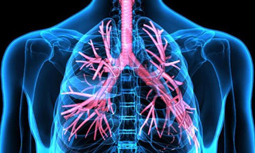 pulmonary-medicine_rqeDEKgEJg