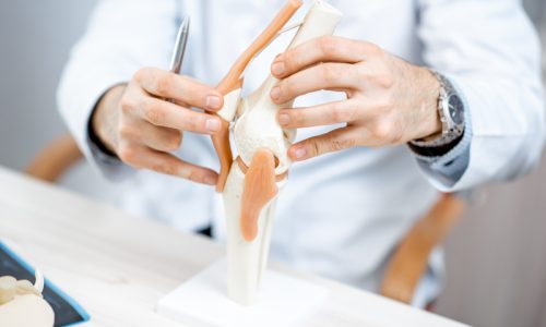 therapist-showing-knee-joint-model-2021-11-01-21-21-01-utc